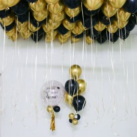 Albie DIY Package