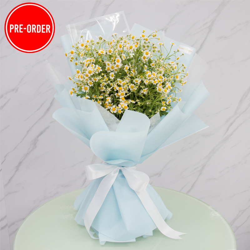 Chamomile Flower Bouquet