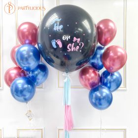 Gender Reveal Balloon Bunch Set D