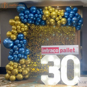 Shimmer Wall Sequin Backdrop